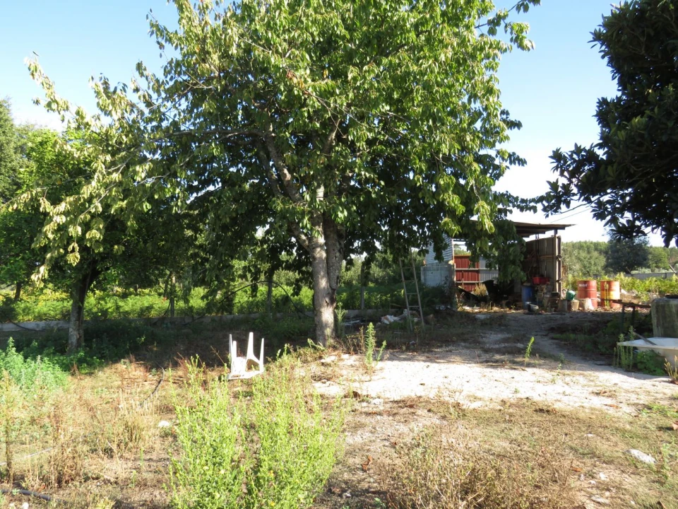 Quinta T0 para Venda em Beco Foto 31