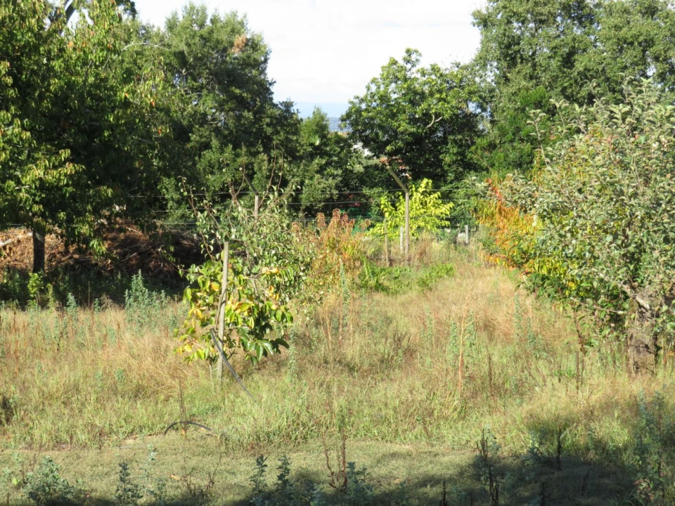 Quinta T0 para Venda em Beco Foto 29