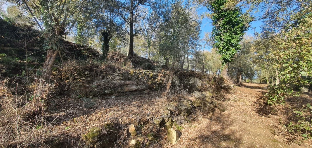 Moradia T2 para Venda em Areias e Pias Foto 24