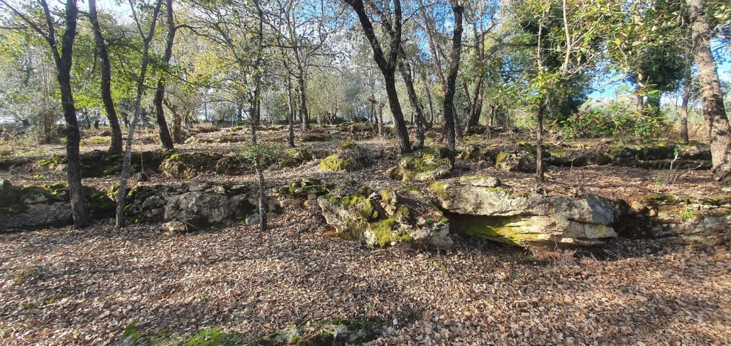 Moradia T2 para Venda em Areias e Pias Foto 32