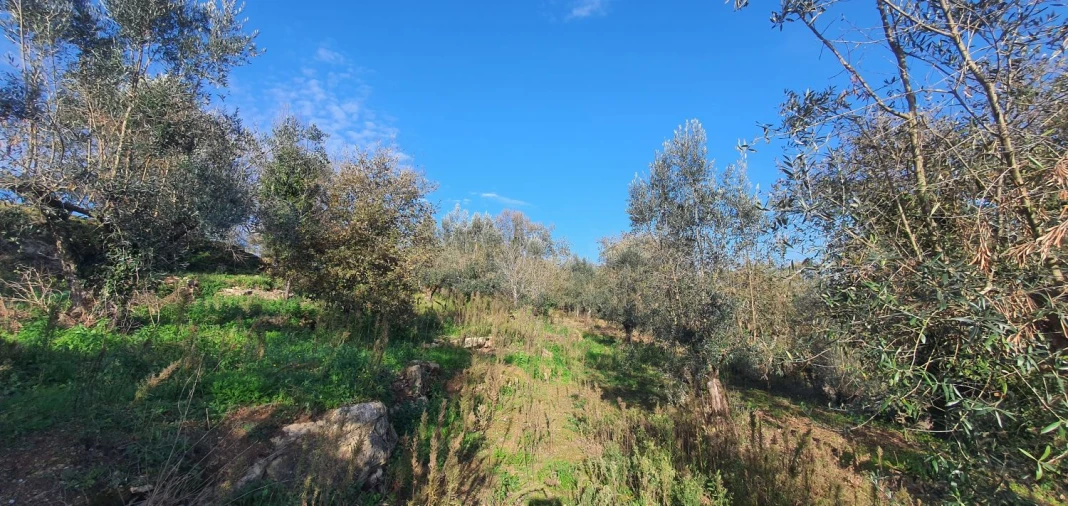 Moradia T2 para Venda em Areias e Pias Foto 20