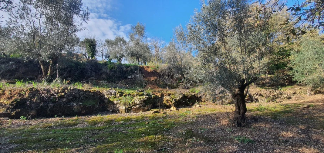 Moradia T2 para Venda em Areias e Pias Foto 23