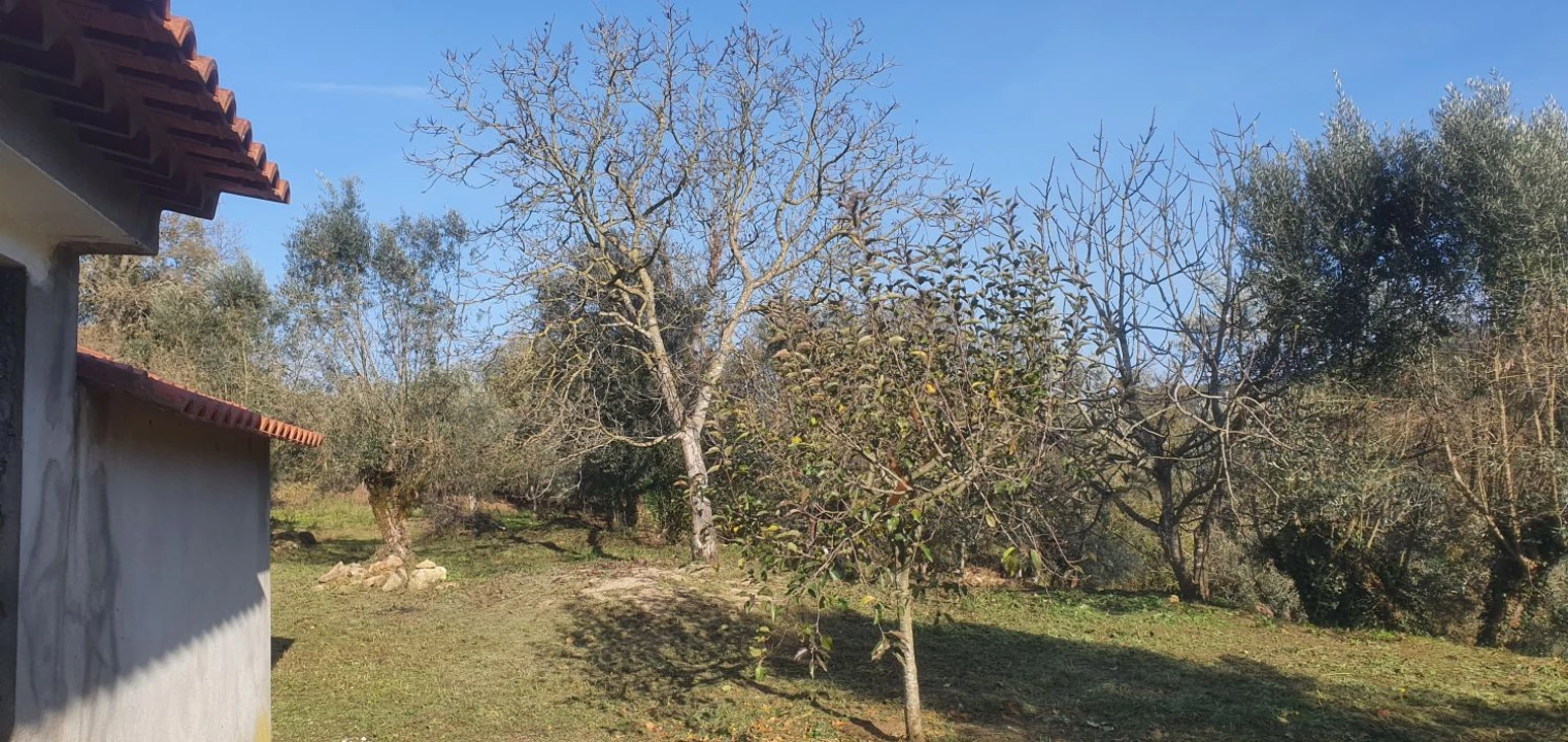 Moradia T2 para Venda em Areias e Pias Foto 41