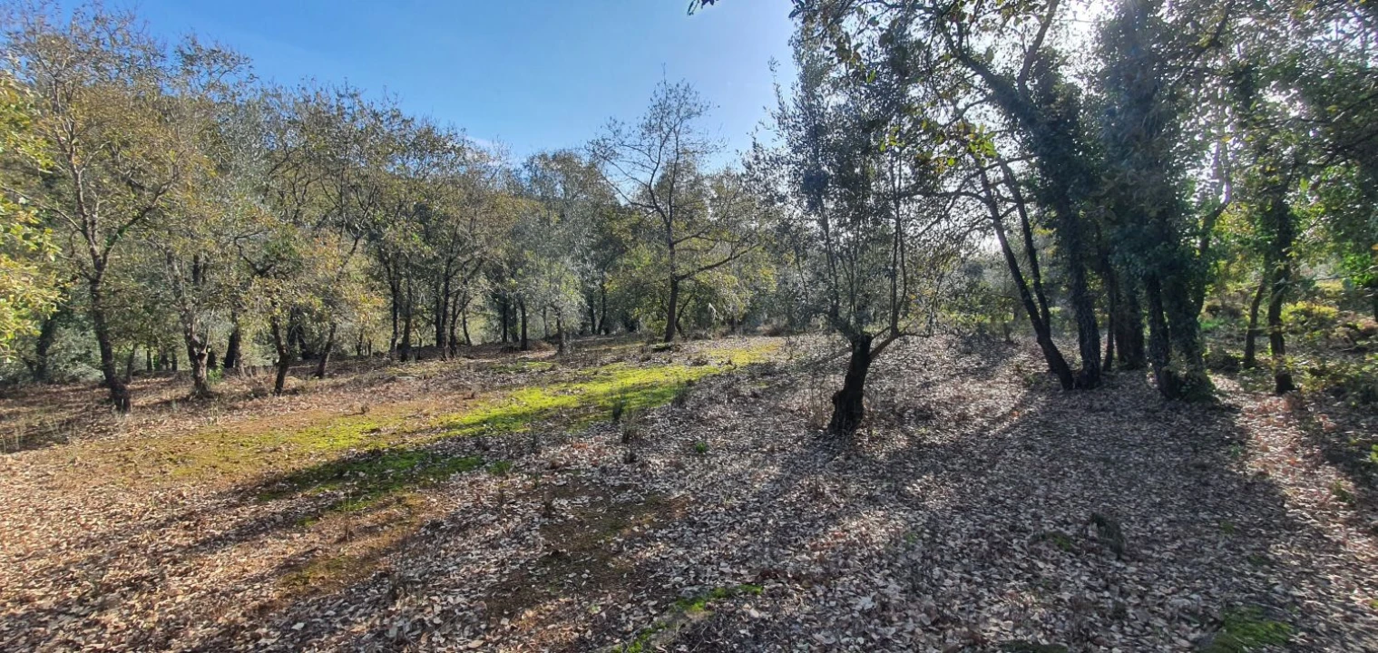 Moradia T2 para Venda em Areias e Pias Foto 37