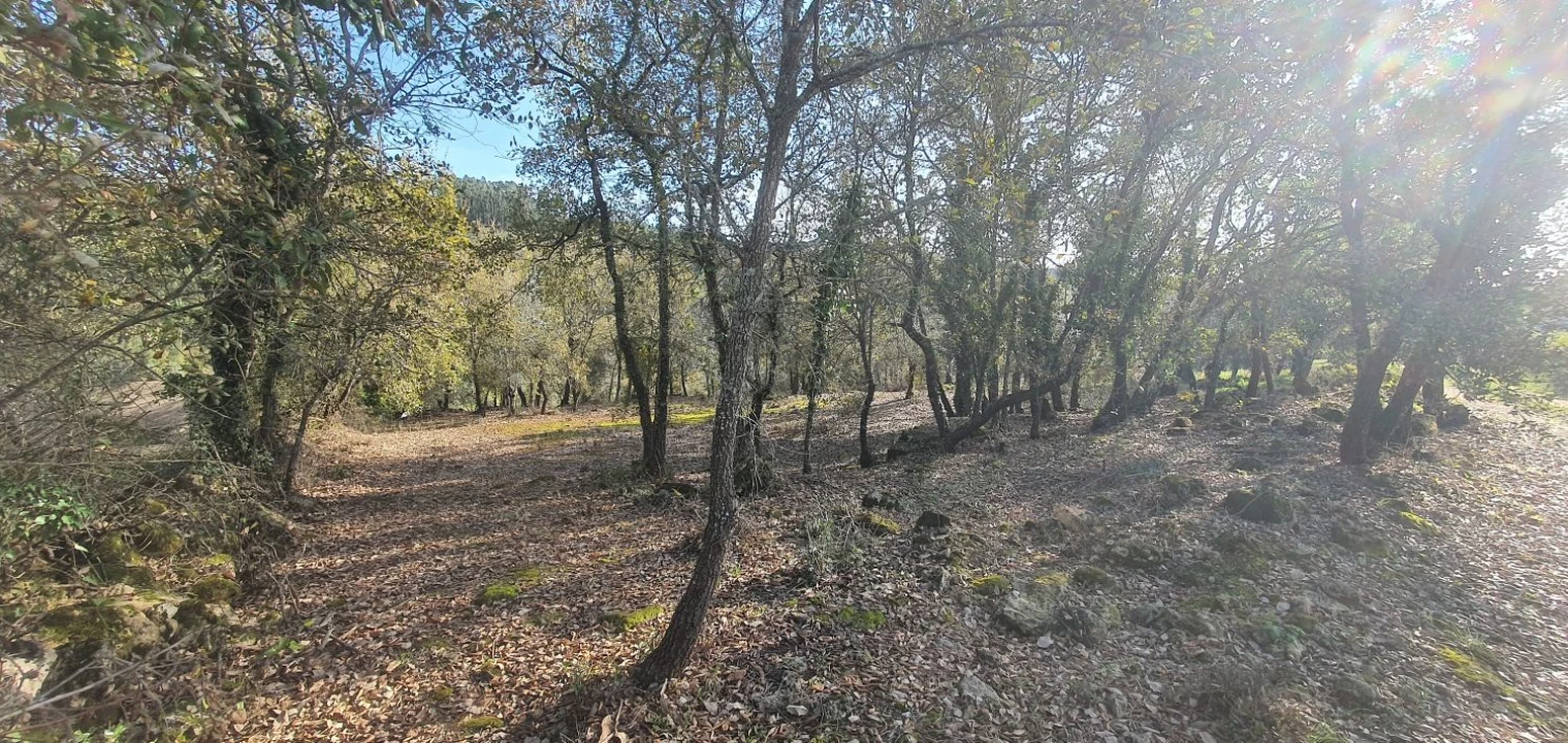 Moradia T2 para Venda em Areias e Pias Foto 38