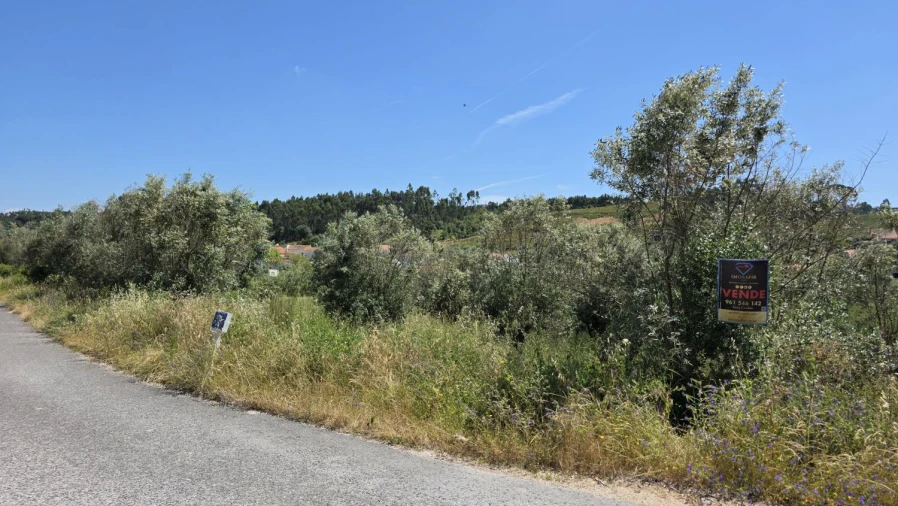 Terreno para Venda em Casais e Alviobeira Foto 3