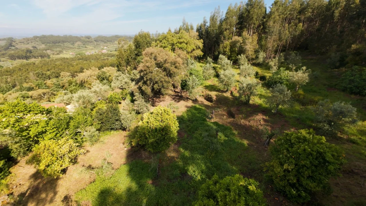 Moradia T2 para Venda em Areias e Pias Foto 14