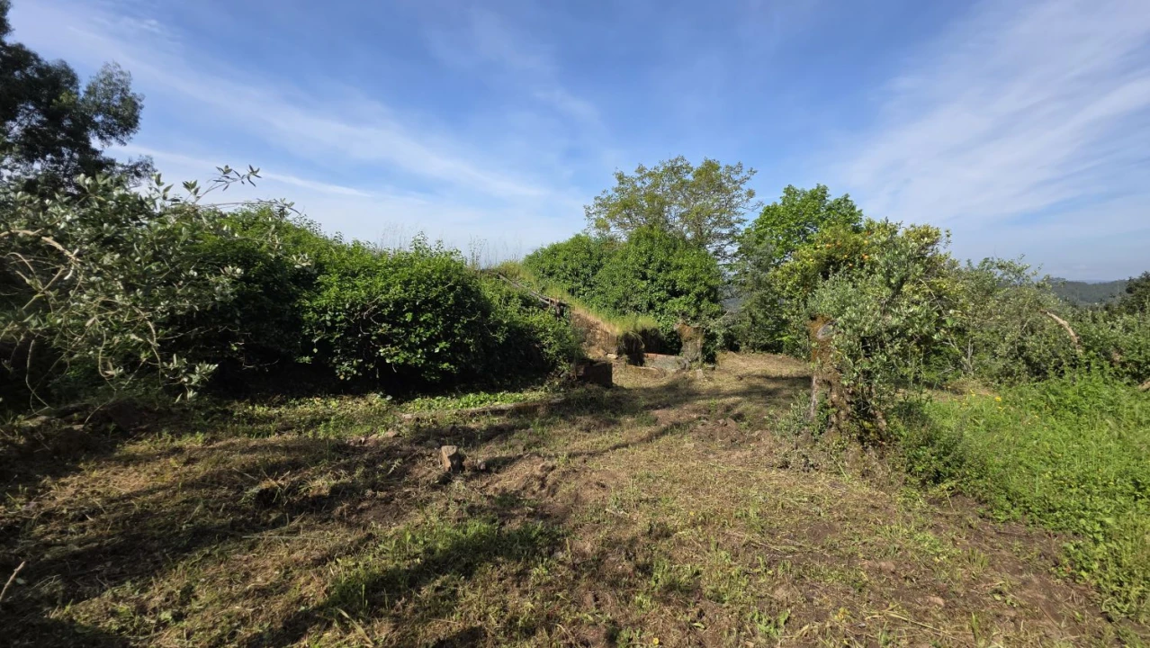 Moradia T2 para Venda em Areias e Pias Foto 34