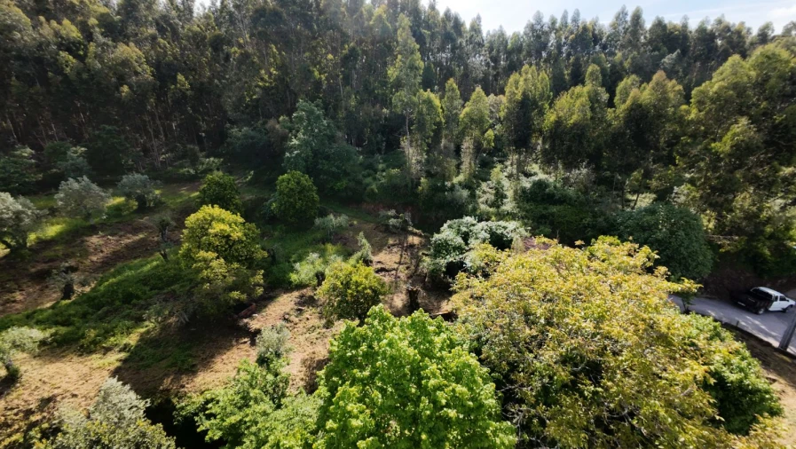 Moradia T2 para Venda em Areias e Pias Foto 12