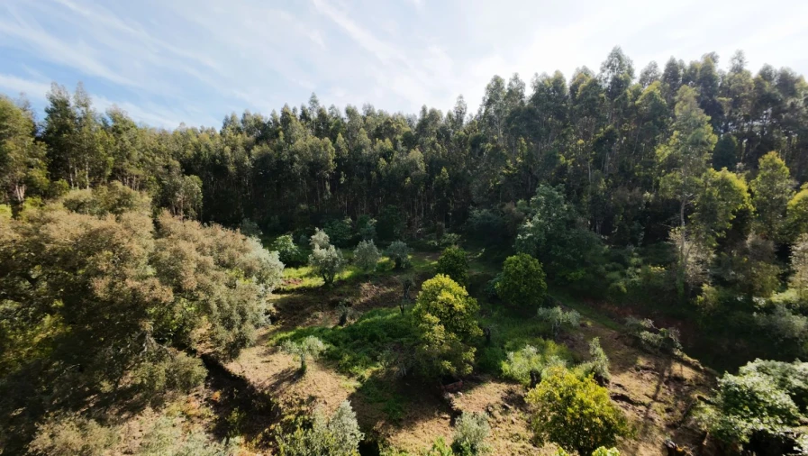 Moradia T2 para Venda em Areias e Pias Foto 18