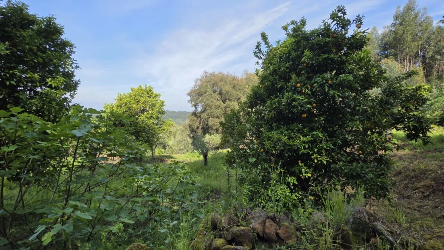 Moradia T2 para Venda em Areias e Pias Foto 27