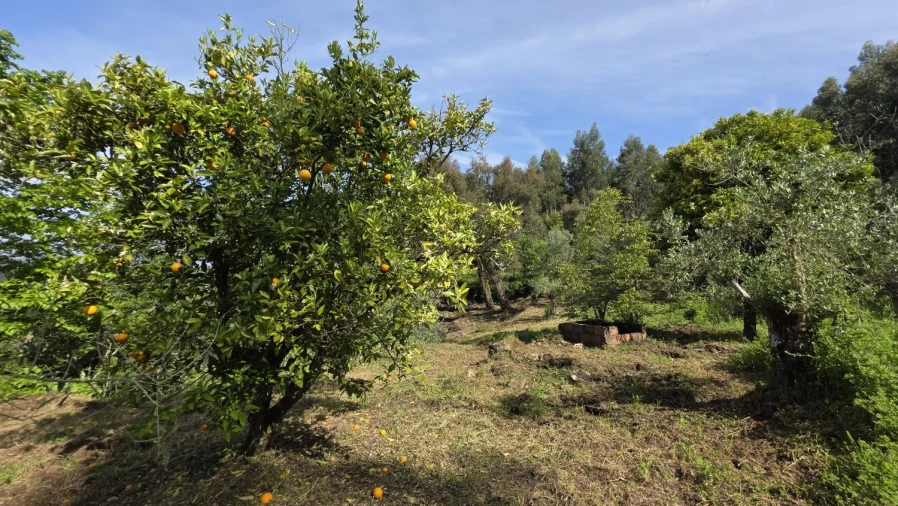 Moradia T2 para Venda em Areias e Pias Foto 9