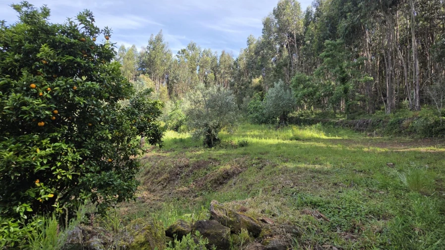 Moradia T2 para Venda em Areias e Pias Foto 26