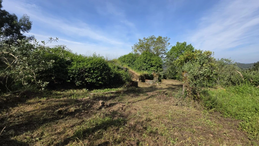 Moradia T2 para Venda em Areias e Pias Foto 16