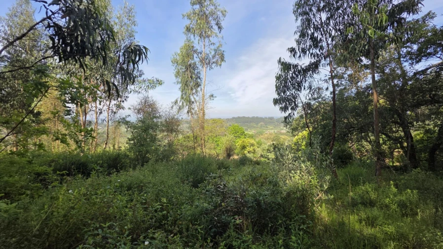 Moradia T2 para Venda em Areias e Pias Foto 21