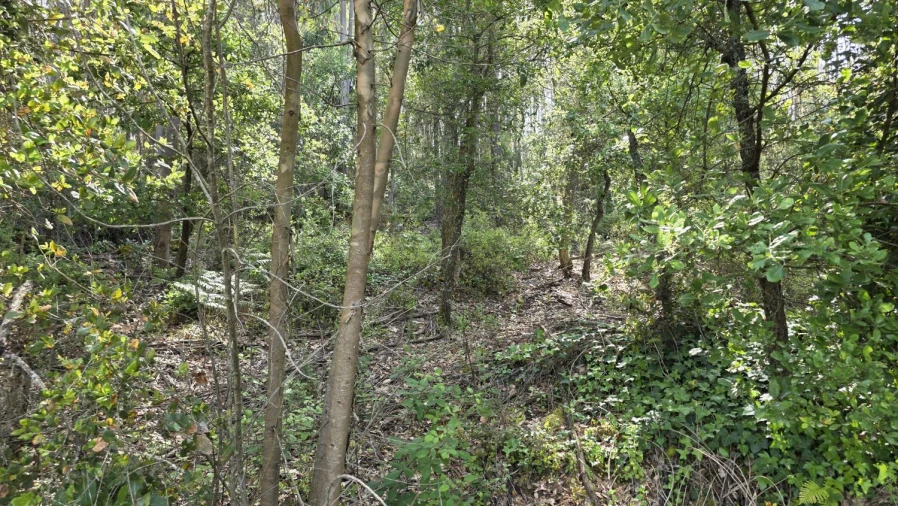 Moradia T2 para Venda em Areias e Pias Foto 38