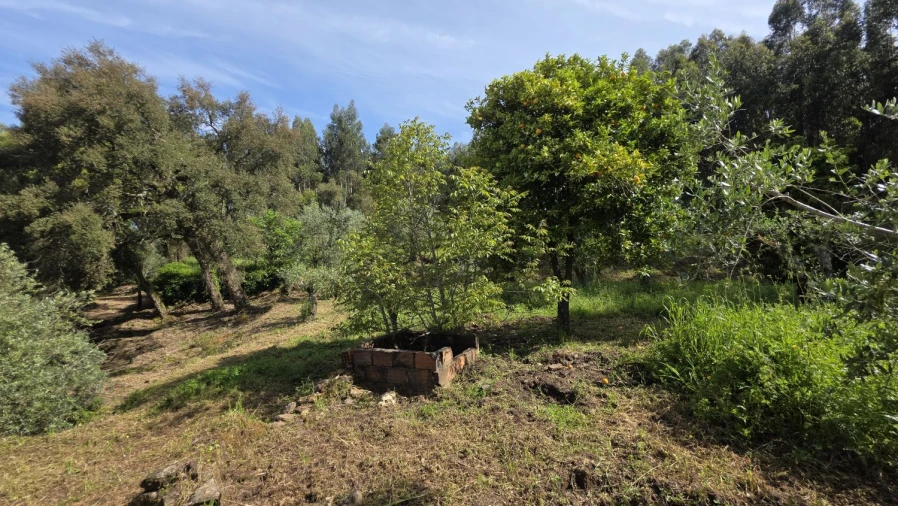 Moradia T2 para Venda em Areias e Pias Foto 8