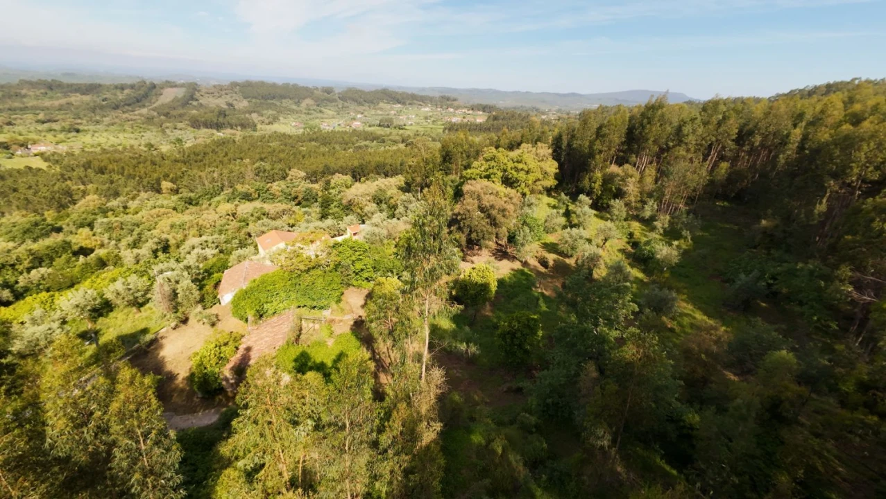 Moradia T2 para Venda em Areias e Pias Foto 40