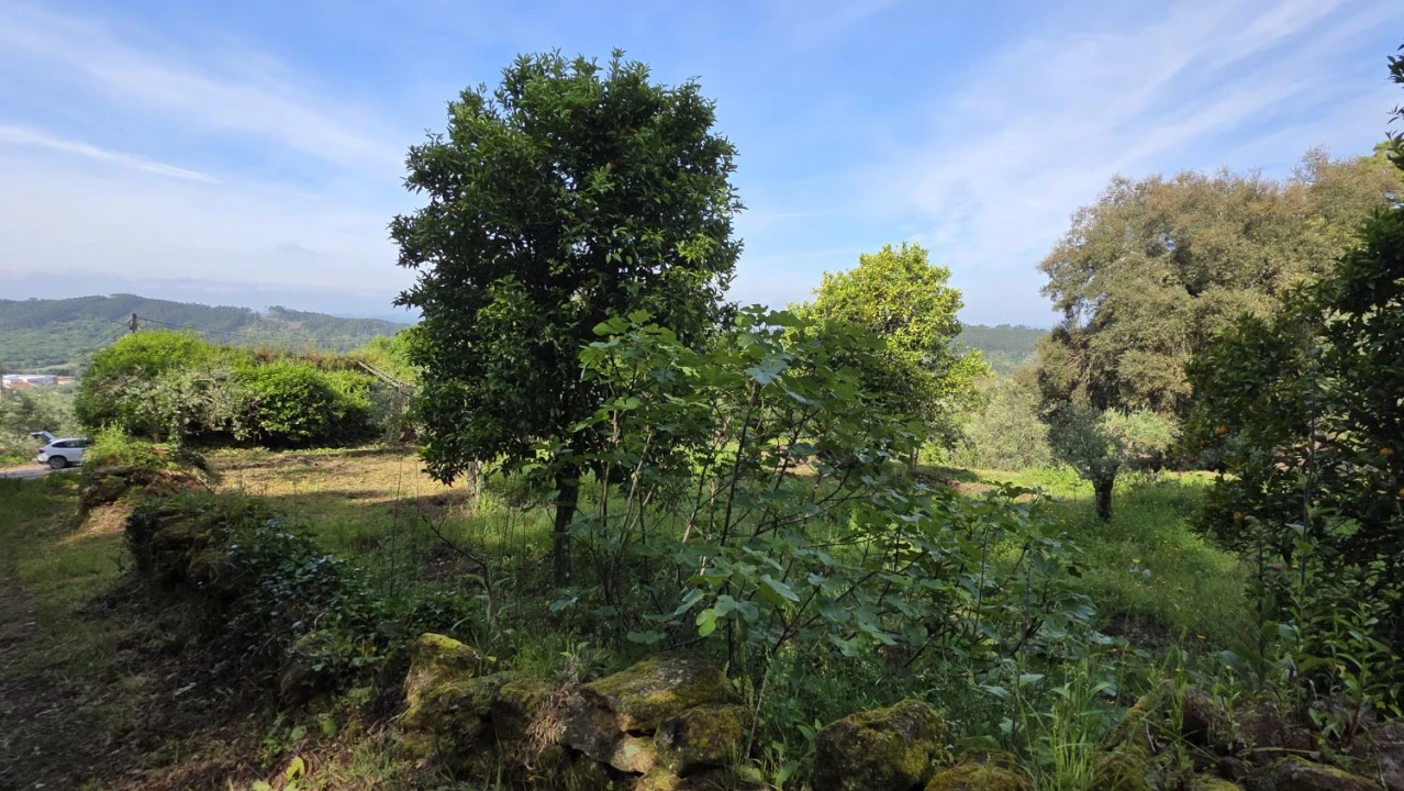 Moradia T2 para Venda em Areias e Pias Foto 24