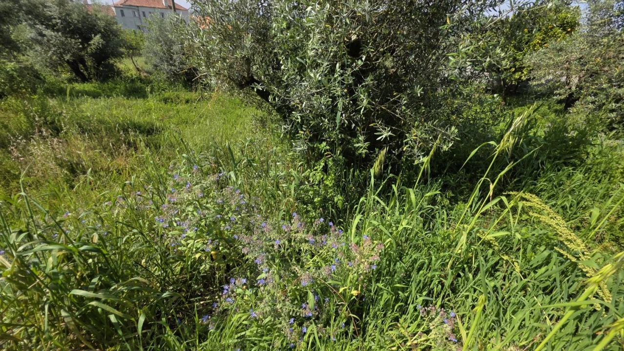 Moradia T2 para Venda em Areias e Pias Foto 32