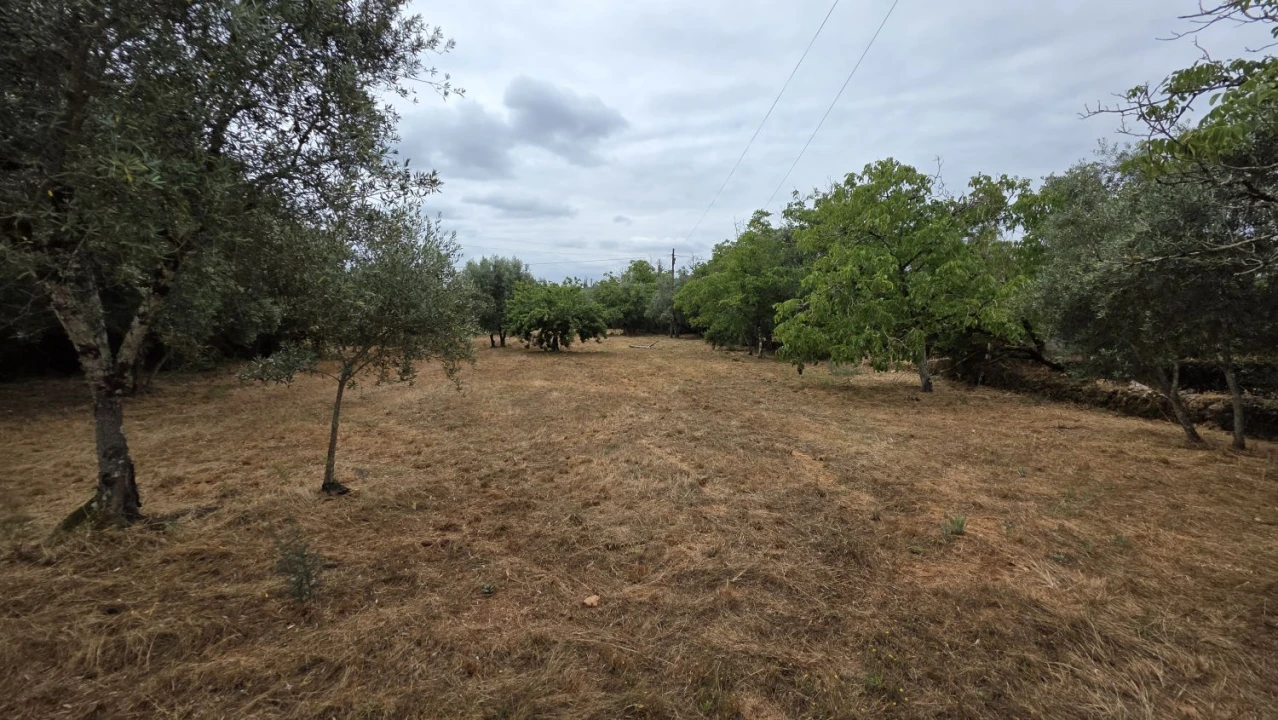 Moradia T2 para Venda em Chãos Foto 27