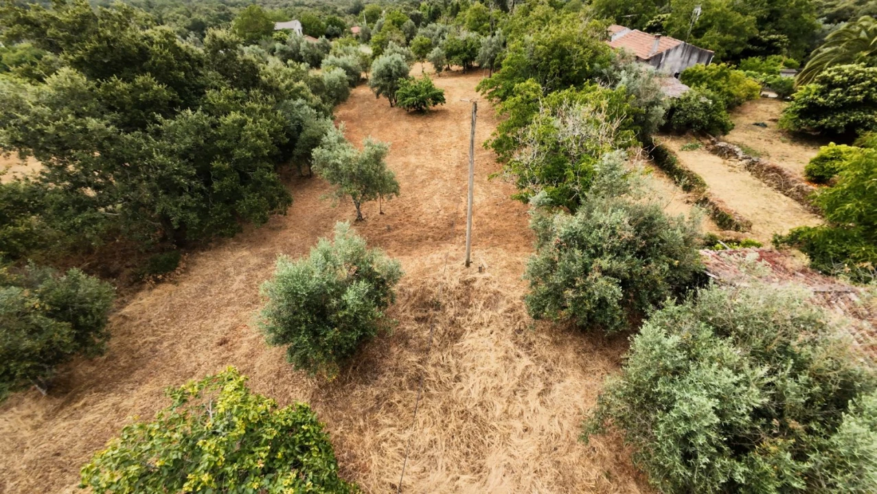 Moradia T2 para Venda em Chãos Foto 14