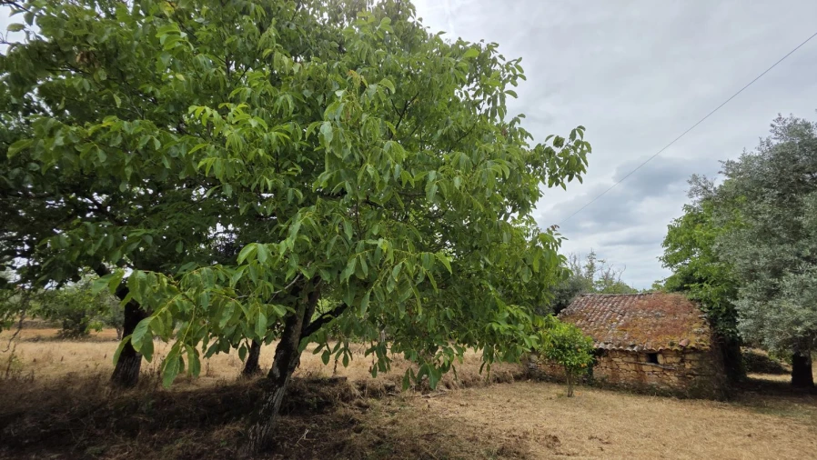 Moradia T2 para Venda em Chãos Foto 22