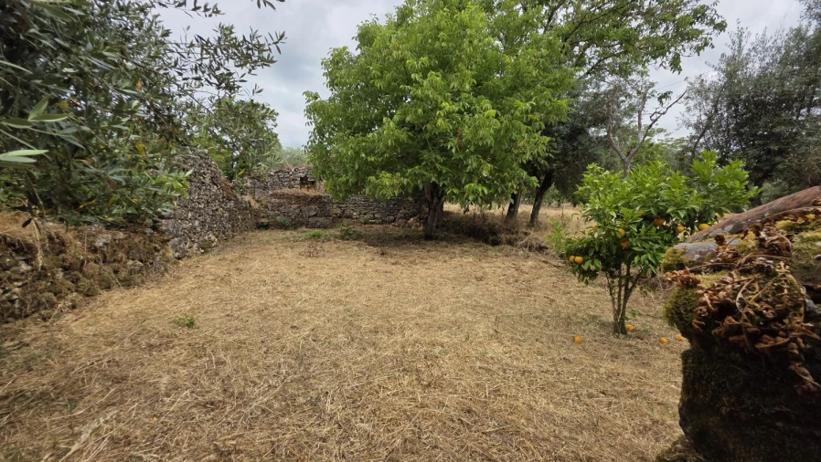 Moradia T2 para Venda em Chãos Foto 24