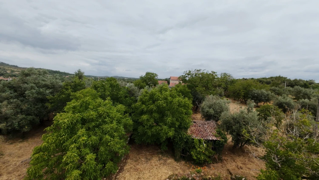 Moradia T2 para Venda em Chãos Foto 17