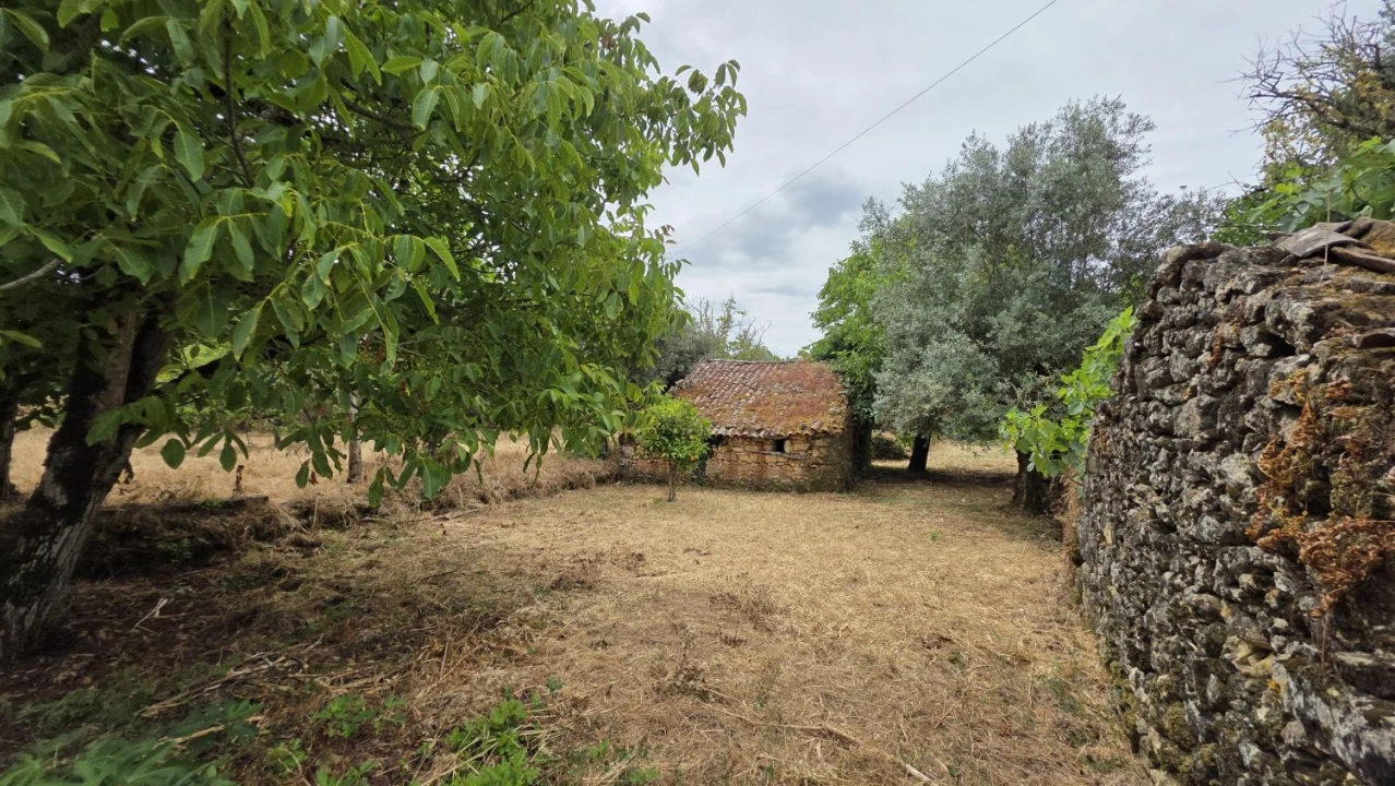 Moradia T2 para Venda em Chãos Foto 21