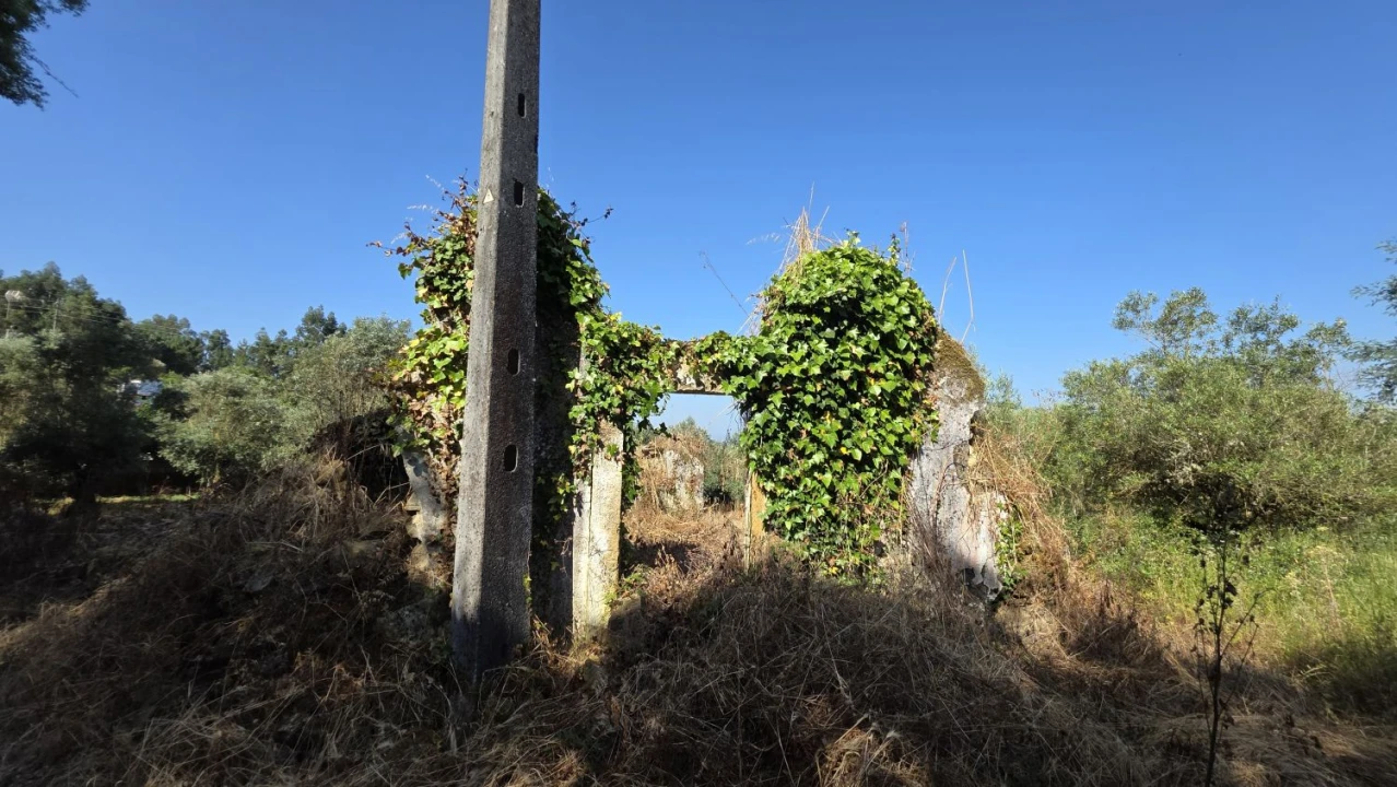 Moradia T2 para Venda em Olalhas Foto 4