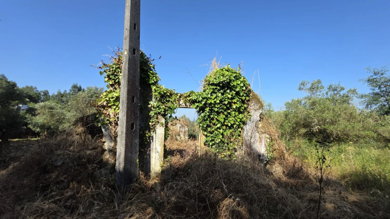 Moradia T2 para Venda em Olalhas Foto 3