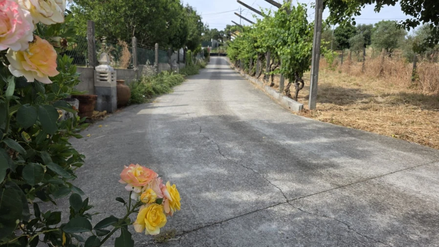 Moradia T4 para Venda em Olalhas Foto 4