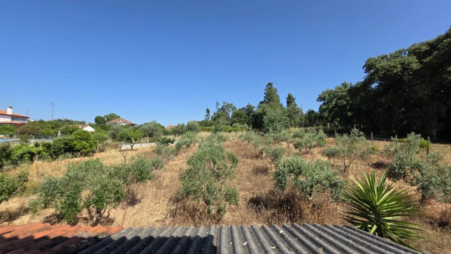 Moradia T4 para Venda em Olalhas Foto 60