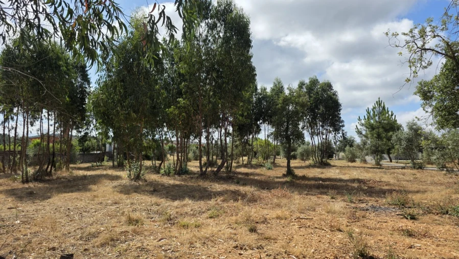 Moradia T3 para Venda em Martinchel Foto 50