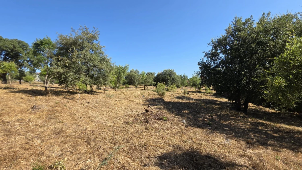Terreno para Venda em Areias e Pias Foto 16
