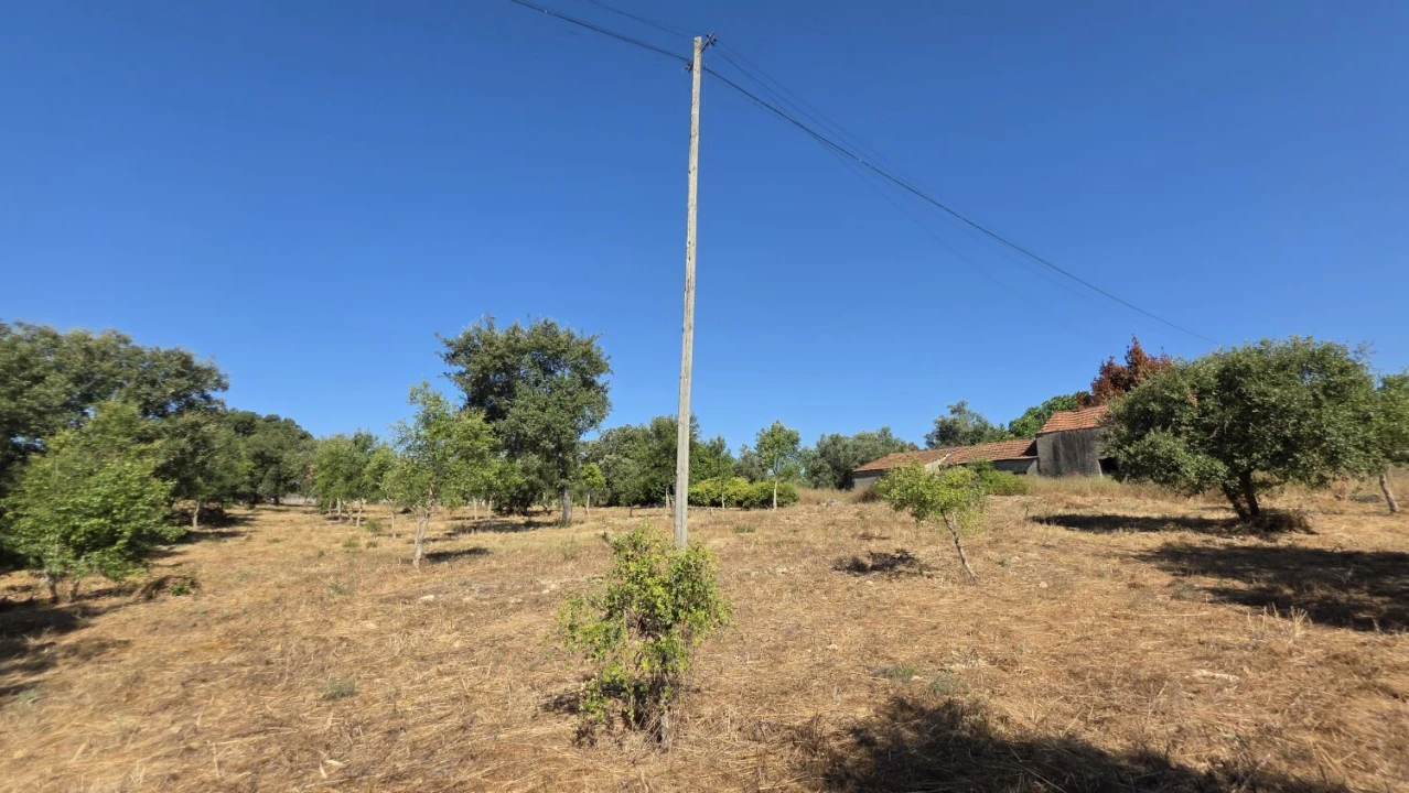 Terreno para Venda em Areias e Pias Foto 9
