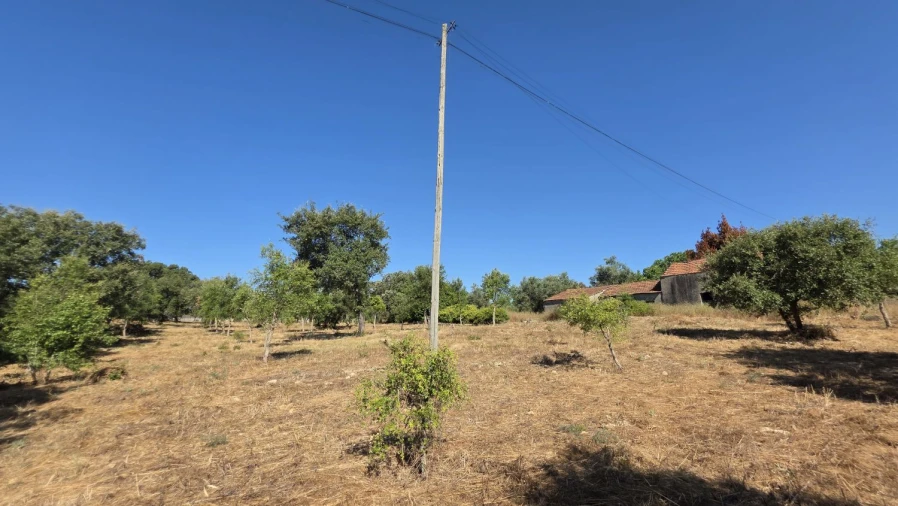 Terreno para Venda em Areias e Pias Foto 9