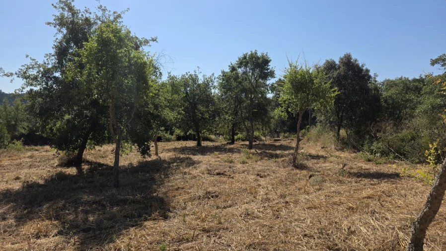 Terreno para Venda em Areias e Pias Foto 20