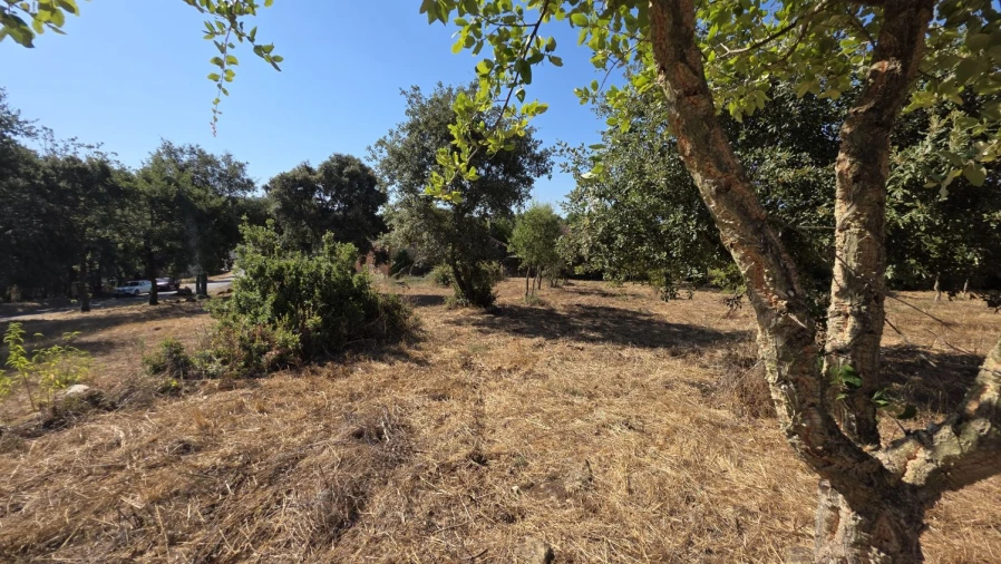 Terreno para Venda em Areias e Pias Foto 41