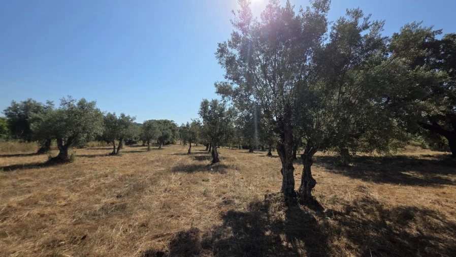 Terreno para Venda em Areias e Pias Foto 27