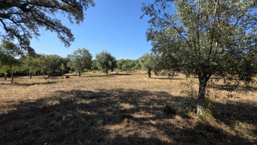 Terreno para Venda em Areias e Pias Foto 35