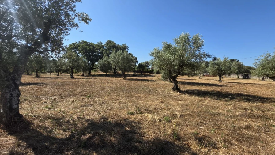 Terreno para Venda em Areias e Pias Foto 33