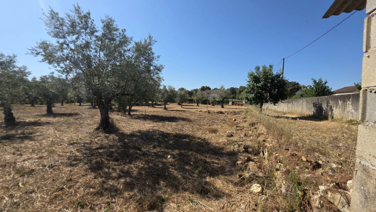 Terreno para Venda em Areias e Pias Foto 32