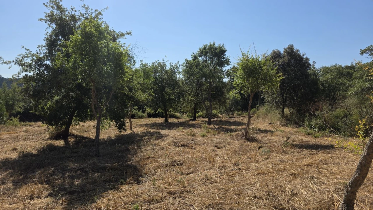 Terreno para Venda em Areias e Pias Foto 20
