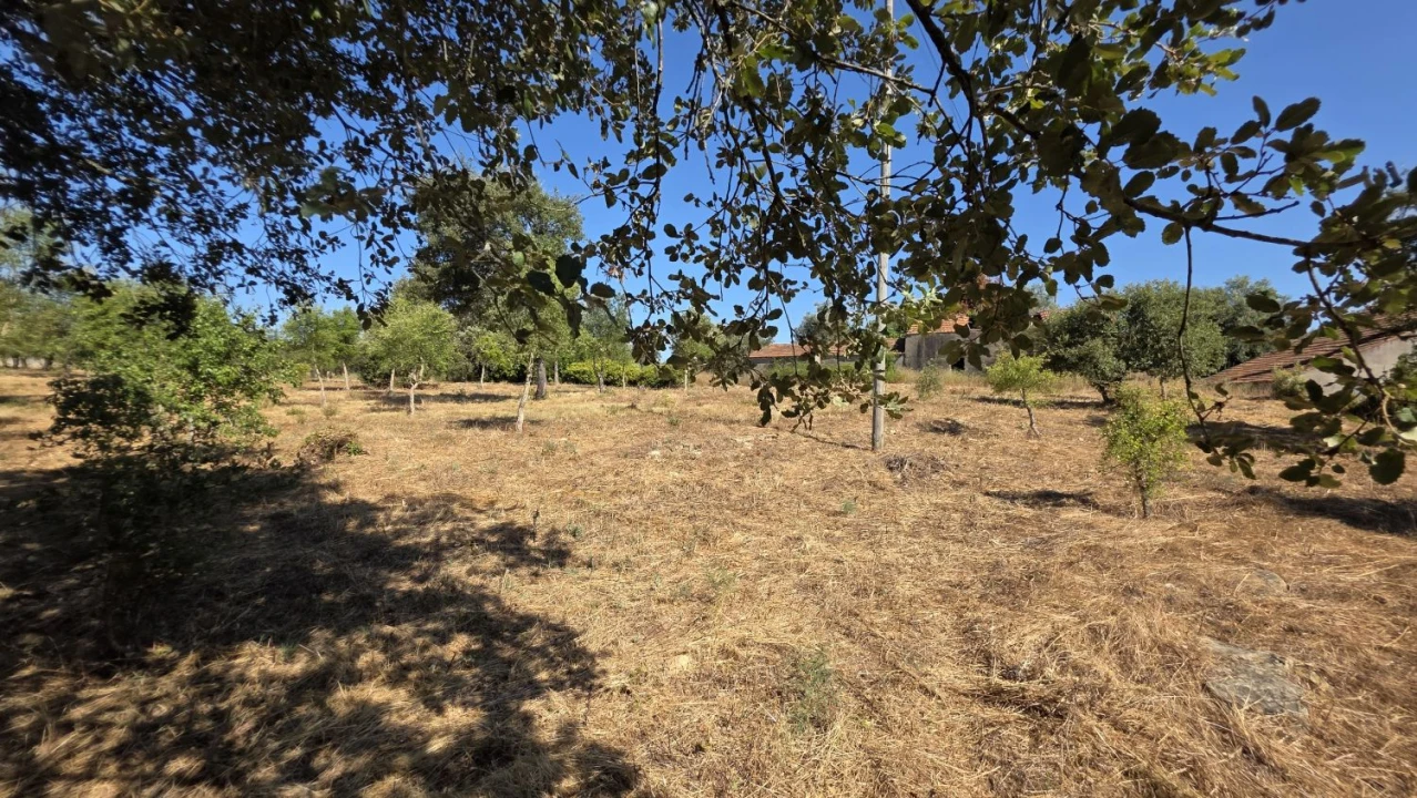 Terreno para Venda em Areias e Pias Foto 10