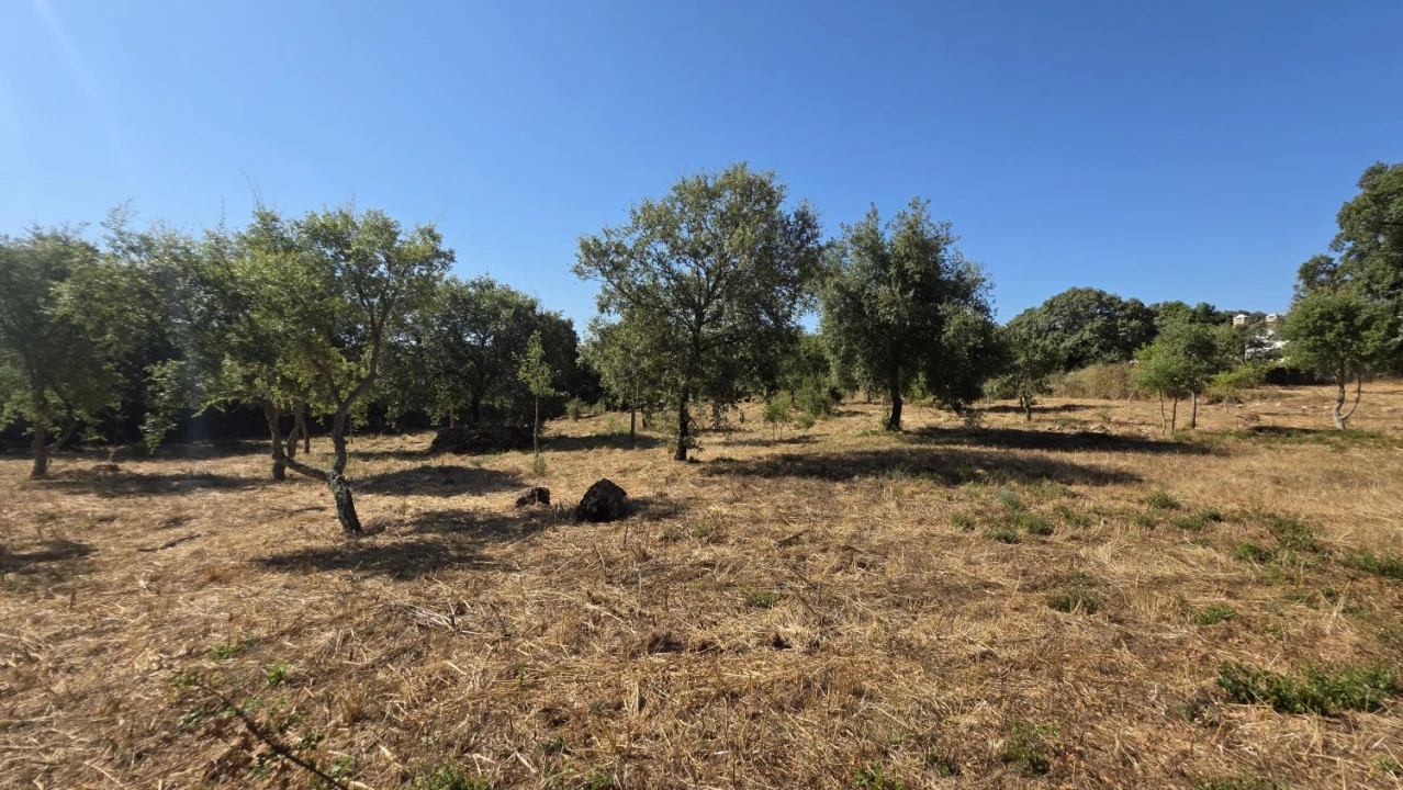 Terreno para Venda em Areias e Pias Foto 38