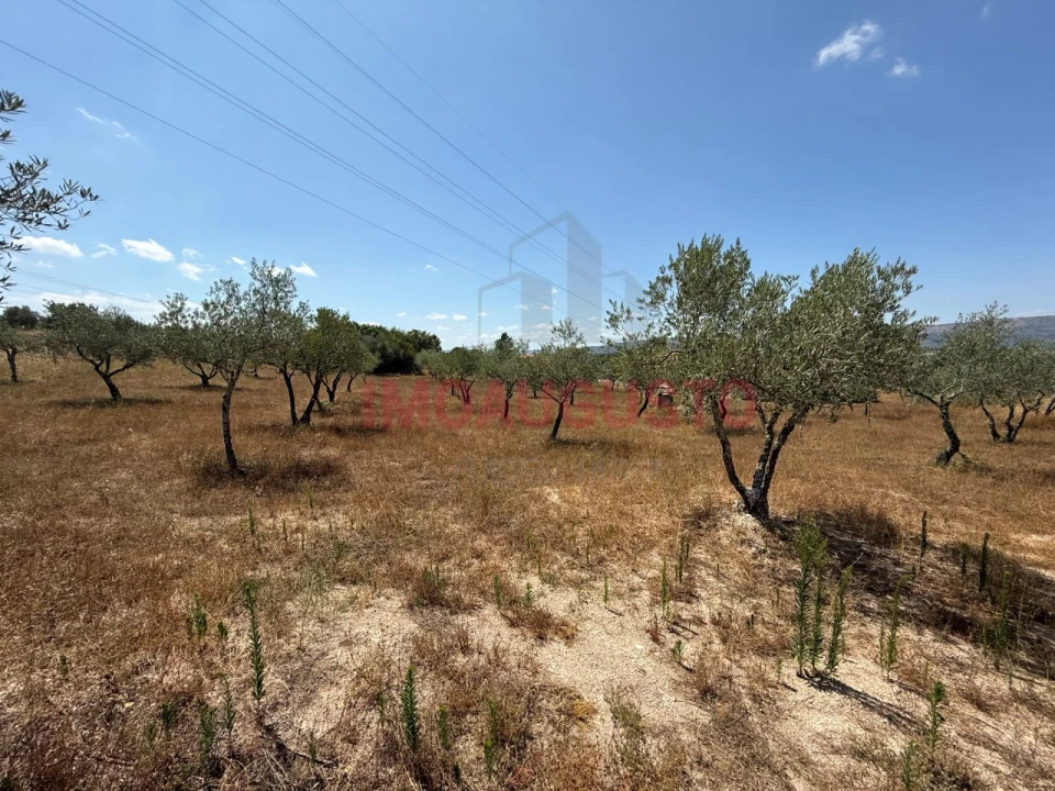 Moradia T1 para Venda em Baraçal Foto 6