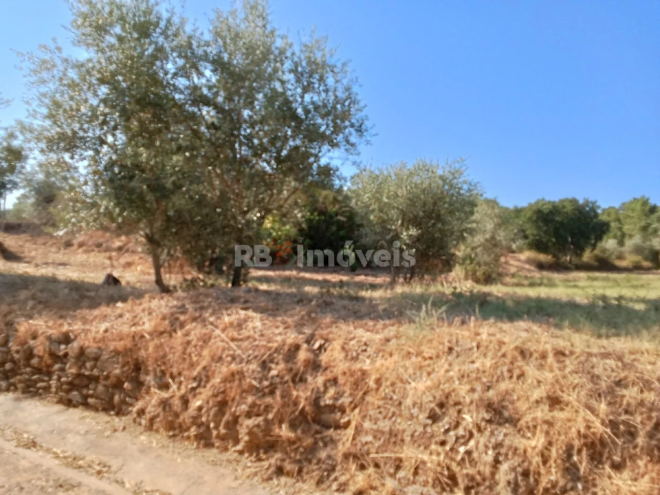 Terreno para Venda em Praia do Ribatejo Foto 5