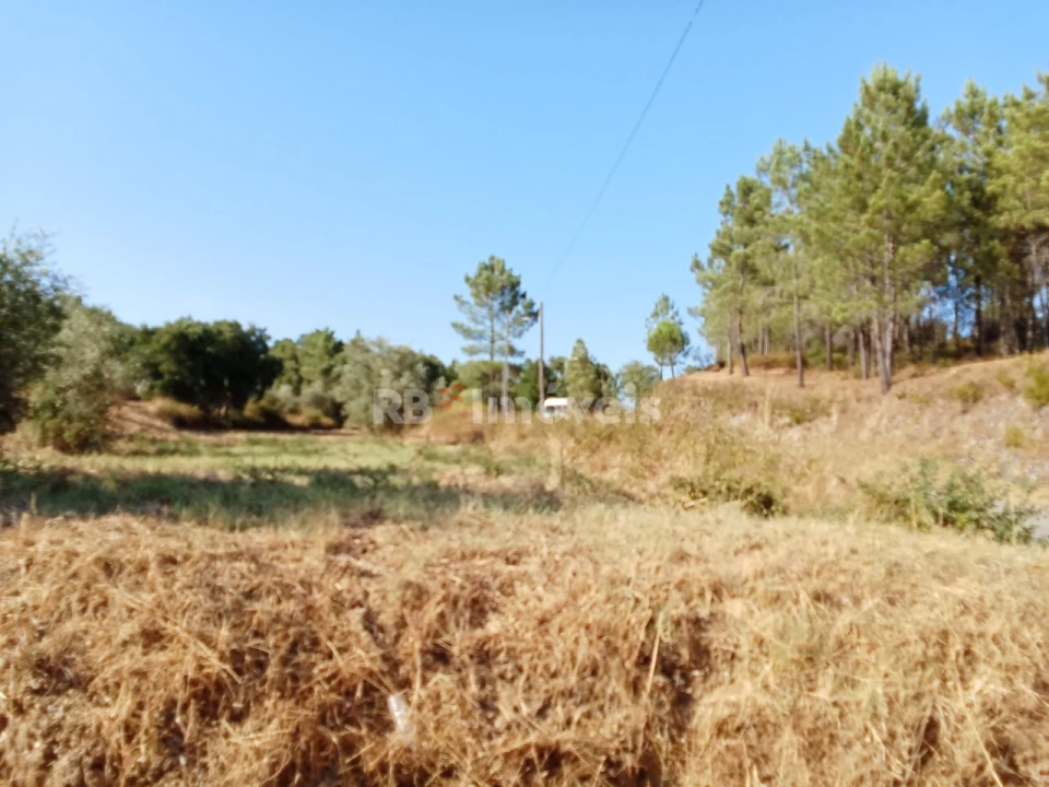 Terreno para Venda em Praia do Ribatejo Foto 6